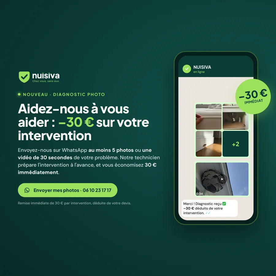 Diagnostic photo NUISIVA : moins 30 euros avec 5 photos ou une vidéo envoyées sur WhatsApp